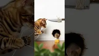 Shocking! Cat freezes like statue&mdash;trap is now a viral sensation #cats #viral #pets