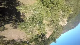 West Coast Throwdown - Full Rip