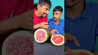 Watermelon Prank with One of the Twin Brothers 😂🤣 #shorts Surprise Challenge