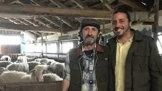 Summer 2018 Gastronomical Trip of Italy