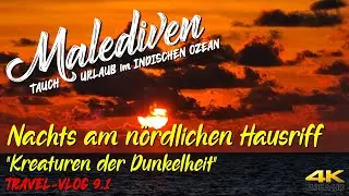 Tauchen auf der MALEDIVEN - Nachts am nördlichen Hausriff 