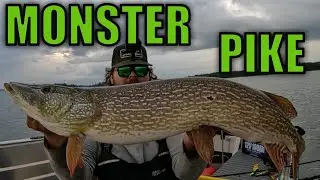Fishing Northern Alberta for BIG Northern Pike! | Late Summer Pike