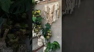 Macrame Wall Hanging Макраме Панно #shorts #macrame #diy #craft #handmade #decoration #decor #foryou