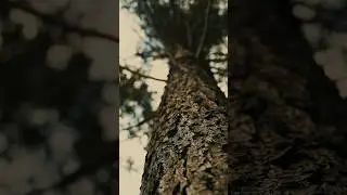 ENCHANTED SPACE SHOT ON IPHONE 14 PRO #shortfilm #outsoon #iphonefilmmaking #capcut #premeirepro #4k