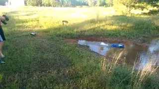 Tug of war: Traxxas Rustler vs. Thunder Tiger Desperado Jr