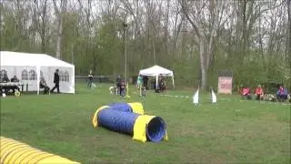 Agility Competition Video: Funturnier HSV R&ouml;tha