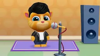 tom friends musical pet performance