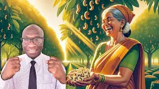India's Cashew Secret: Why W320 Reigns Supreme