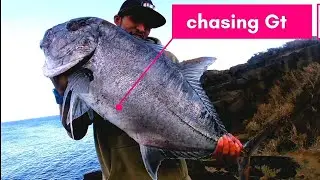 hawaii ulua fishingvideo|reel big fish|big island ulua