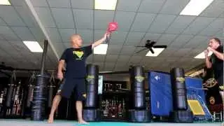 James Cox jump spinning hook kick!