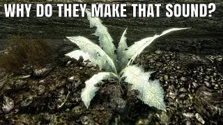 NIRNROOT: From The SUN'S DEATH to BLACKREACH // Elder Scrolls Lore Deep Dive