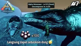 BERBURU ALPHA MOSASAURUS UNTUK MENDAPATKAN RESOURCE MAHAL di ARK : survival evolved GAMEPLAY