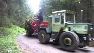 MB Trac 1000 mit Beha T1300 Holzwagen