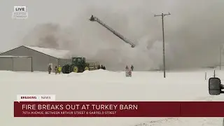 Fire breaks out at turkey barn
