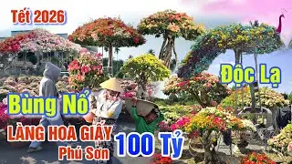BÙNG NỔ LÀNG HOA GIẤY 100 TỶ PHÚ SƠN BẾN TRE TẾT 2026 - KIỂNG BÔNG GIẤY ĐỘC LẠ CHƯA TỪNG CÓ