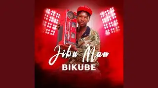 Bikube