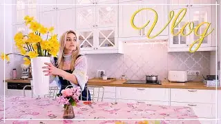 VLOG💛 Des youpis & des larmes