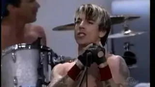 HBD Red Hot Chili Peppers   The Experience Music Project, Seattle 2000 Sox on Cox