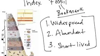 Physical Geology: Geolgoic Time, Index Fossil