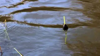 РИБОЛОВ на РЕКА ЯНТРА - КАК да ЛОВИМ РИБИ с ПЛУВКА и ВЪДИЦА / River Fishing For Chub