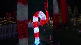 Nottingham WINTER LIGHT TRAIL✨🎄