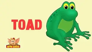 Animal Facts - Toad