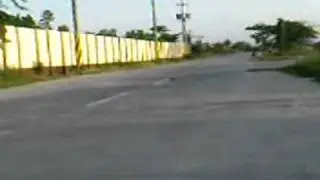 nb16t.wmv
