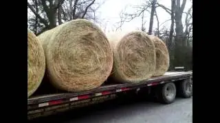 Hay for Sale in Houston