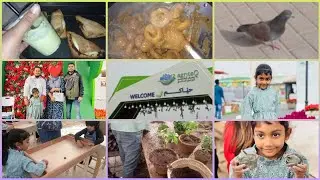 AgriteQ (part 1)/cultural events /katara /vlogs of Qatar/Friday vlogs