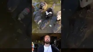 When All The Boys Get Matching Mounts