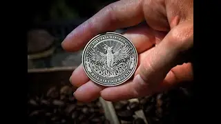 Phoenix Coin - EDC Reminder Coins