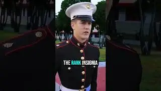 Какое звание у генерал-майора морской пехоты? #usmc #marinecorps #usmarines #bootcamp #marine #corps