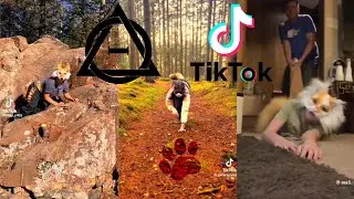 Therian and Quadrobics TikToks || Compilation 🐾🪱🪲|| Alterhumans of TikTok #81