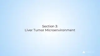 Section 3: Tumor Microenvironment
