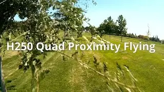 Mini H Quad Proximity Flying