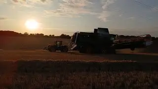 Into the night with another day of harvesting wheat!