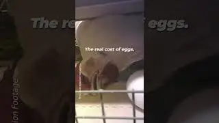 Think eggs are expensive for you?