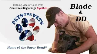 Blade and DD: A Pets for Vets&reg; Super Bond&reg; Story