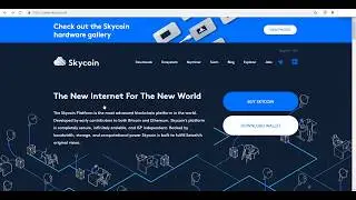 Skycoin Full Review (Must Buy Coin )