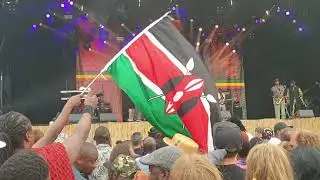 Half Pint - Political Fiction