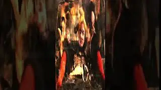 The Smurfs (2011) | Smurfs Funny Opening Scene - Gargamel Chases Smurfs