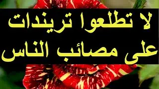 لا تطلعوا ترندات على مصائب الآخرين