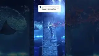 I&rsquo;m a Professional Mermaid Performer 🧜🏼&zwj;♀️