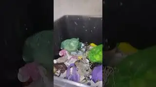 Ludzie wyrzucają do śmieci drogocenne niespodzianki!SZOK!Nie znają ich wartości!#zerowaste