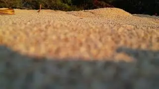 DJI 0844