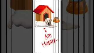 Help Puppy To Reach Home - Simple Maze #21 #shorts | Brainy Games | ChikooBerry