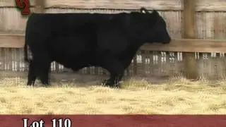 Lot 110 U2 Ranch 2012