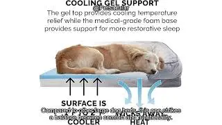 Furhaven Cooling Gel Dog Bed Review: Is It the Best Choice for Large Dogs&rsquo; Comfort?