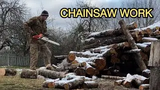 Winter Firewood Cutting | Side View, No Commentary