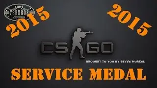 CS:GO 2015 service medal